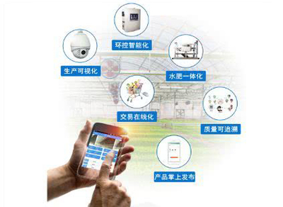 智能科技賦能 休閑農(nóng)業(yè)中“體驗(yàn)”產(chǎn)品的創(chuàng)新升級