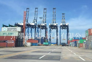 物流洗牌在即 黃埔海關(guān)破獲2億元快件走私大案，銷售代理鏈條浮出水面